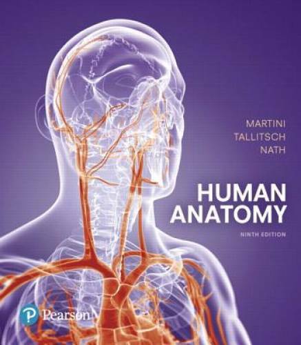 Human Anatomy (9th Edition) - Hardcover By Martini, Frederic H. - VERY GOOD