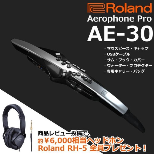 ROLAND Aerophone Pro AE-30 Digital Wind Instrument Matt Black and Silver - Picture 2 of 21