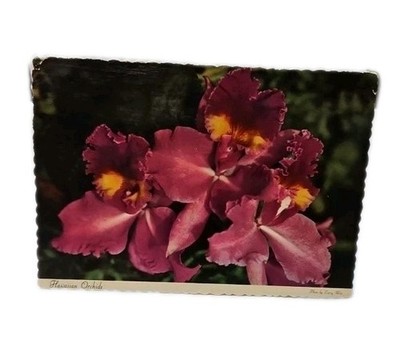 Hawaiian Orchids Flowers ''Here Are The Orchids I Promised You'' Postcard Vintage