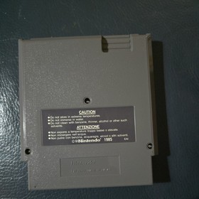 Wizards and Warriors (NES)