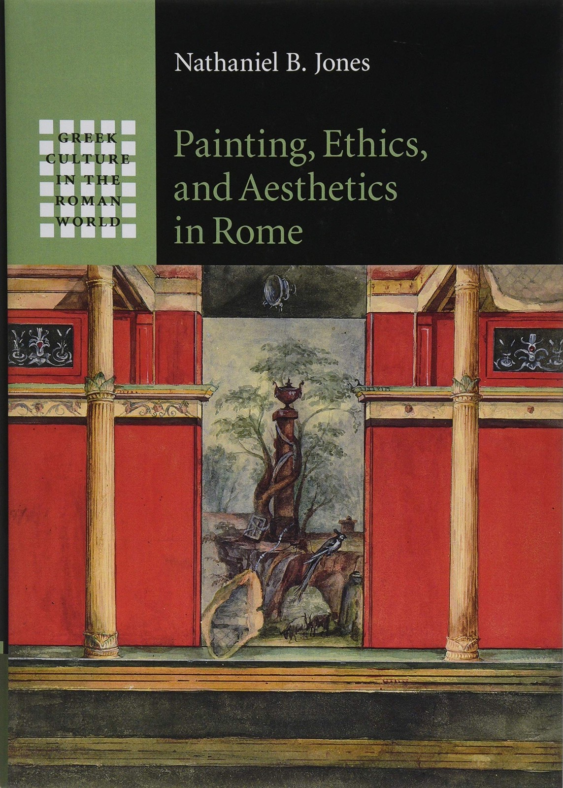 Painting, Ethics, and Aesthetics in Rome (Greek Culture in the Roman World) By