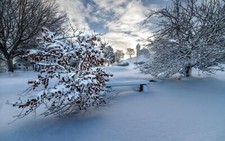 Landscape winter snow nature Custom Gaming Mat Desk