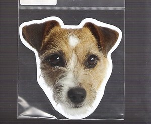 Jack Russell 4 inch face magnet for car or anything metal     New