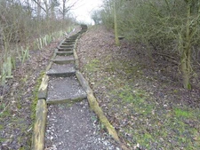 Photo A3 Steps in Roding Valley Meadows Local Nature Reserve Chigwell Th c2017
