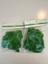 Ashland Dried Reindeer Moss Green 1.7 oz Indoor/Outdoor Decor - 2 Pack