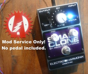 Small Clone | eBay