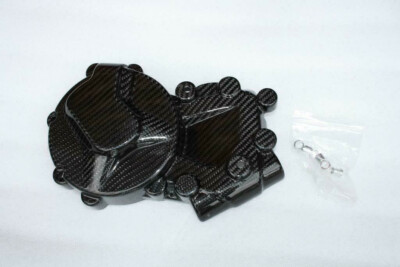SCHUTZ MOTOR LICHTMASCHINENDECKEL BMW S1000RR 2013 2014 2015 2016 17 CARBONE