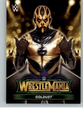 2018 WWE Road to Wrestlemania Roster #48 Goldust