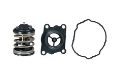 Thermostat BMW X1