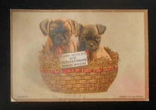 1890s VTC Puppy Basket New No. 8 Wheeler & Wilson Sewing Machine Bridgeport CT