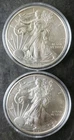 2019 and 2021 $1 American Silver Eagle Dollars in Capsules