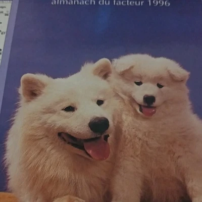 Oberthur Almanach du facteur 1996 calendrier/almanach thème chiens (Français) - Photo 1/4