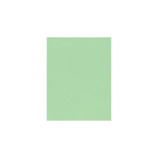 50 Pack Pastel Green 60Lb Copy Paper 8.5 X 11 Multipurpose Printing Crafting