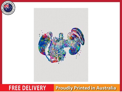 NEW (LAMINATED) PANCREAS AND SPLEEN ANATOM (61X91CM) MEDICAL CHART PICTURE PRINT