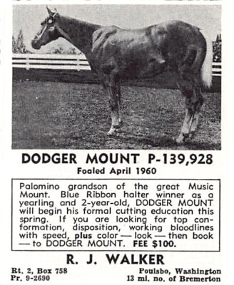 R J Walker Dodger Mount Standing Stud Poulsbo Washington Vtg Magazine Print Ad