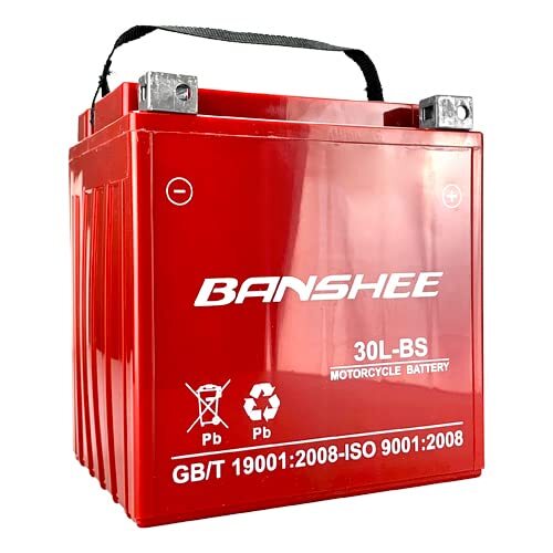 Reviews For Weize YTX20L-BS High Performance Power Sports- Maintenance Free - Sealed AGM Battery Etx20l Bs For Motorcycle Atv Utv Snowmobile