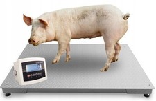 Tierwaage Schweinewaage K&auml;lberwaage 0,8x1,5m Viehwaage Plattformwaage 1500kg
