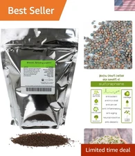 Quality Broccoli Sprouting Seeds - Perfect for Sprouting Kit