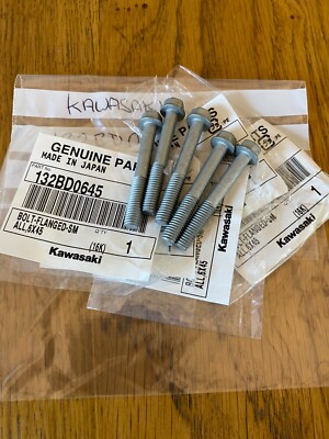 Kawasaki Sechskantschrauben x 5, Motorabdeckungen 6 x 45 mm, KLX110 KRT800 KRF800