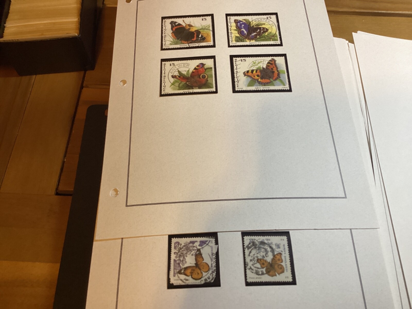 Picture 1