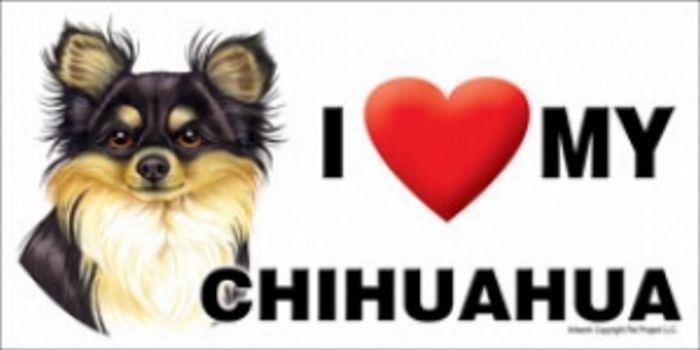MAGNET--I (Heart) Love My CHIHUAHUA-BK &TAN -4