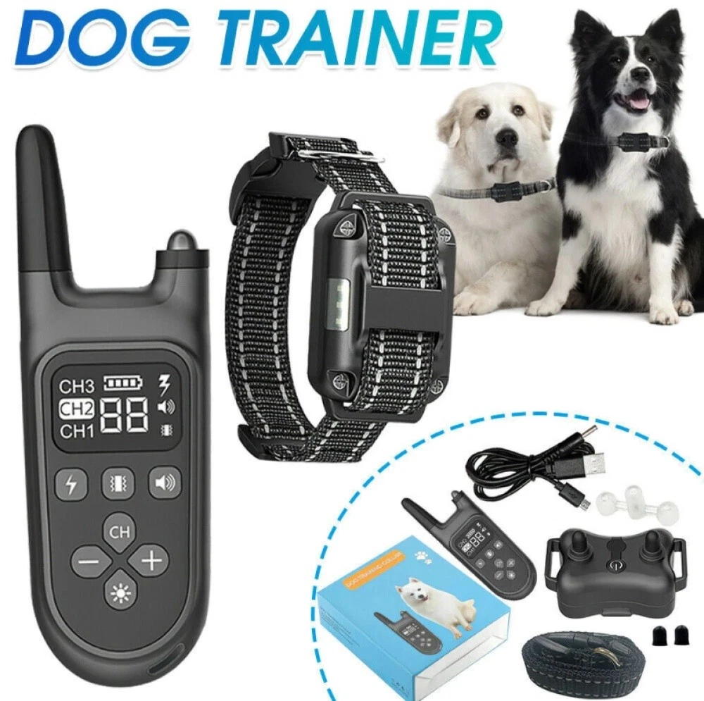 Hundehalsband mit Strom online kaufen | eBay.de