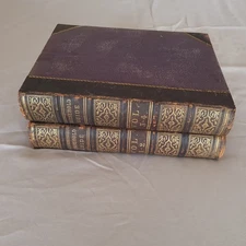 Cassell’s Household Guide c.1870s 4 Vols in 2 Illustrated Victorian Set