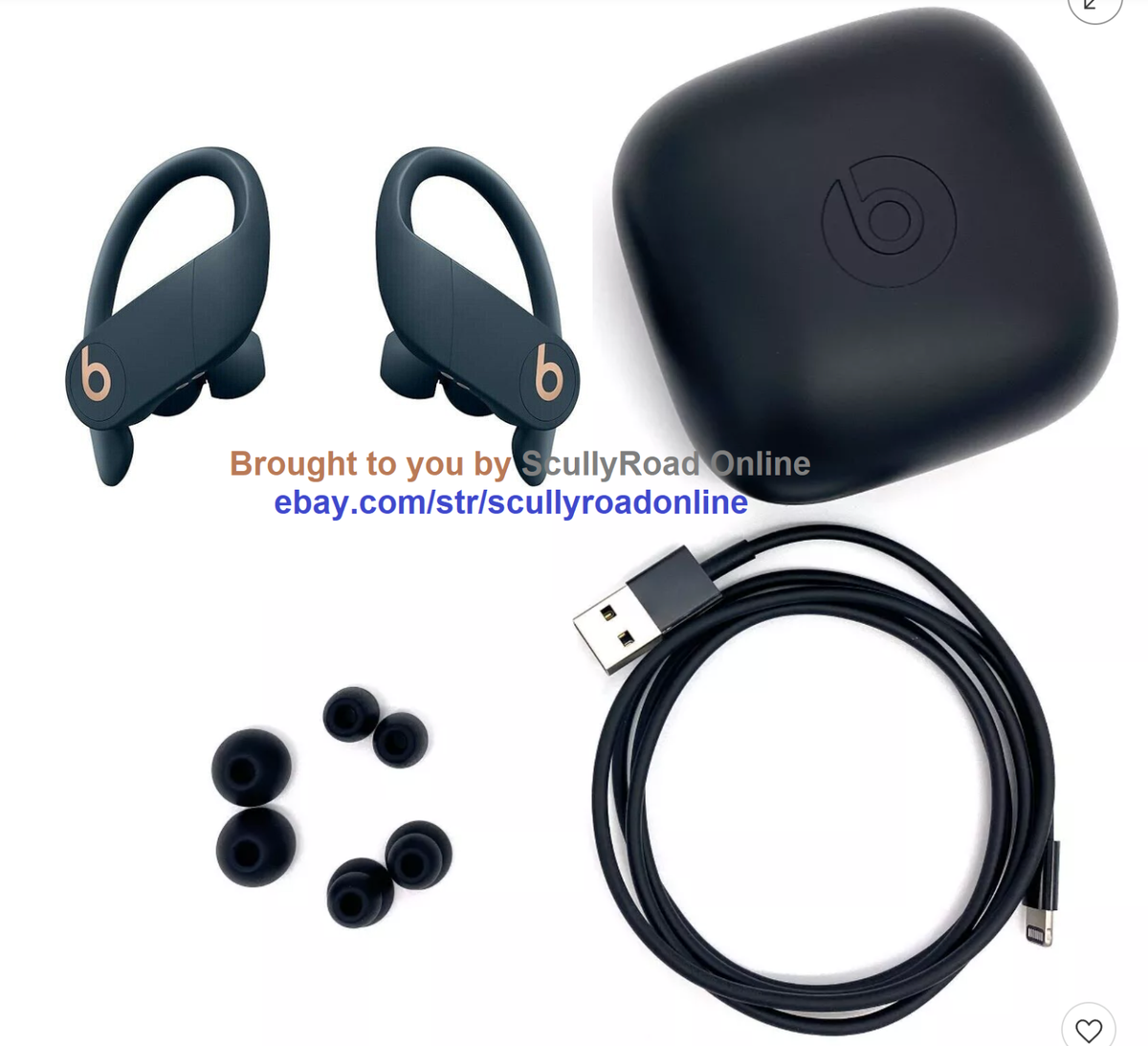 Power Beats Pro（navy）＋Beats x（black） Powerbeats Pro Earphones