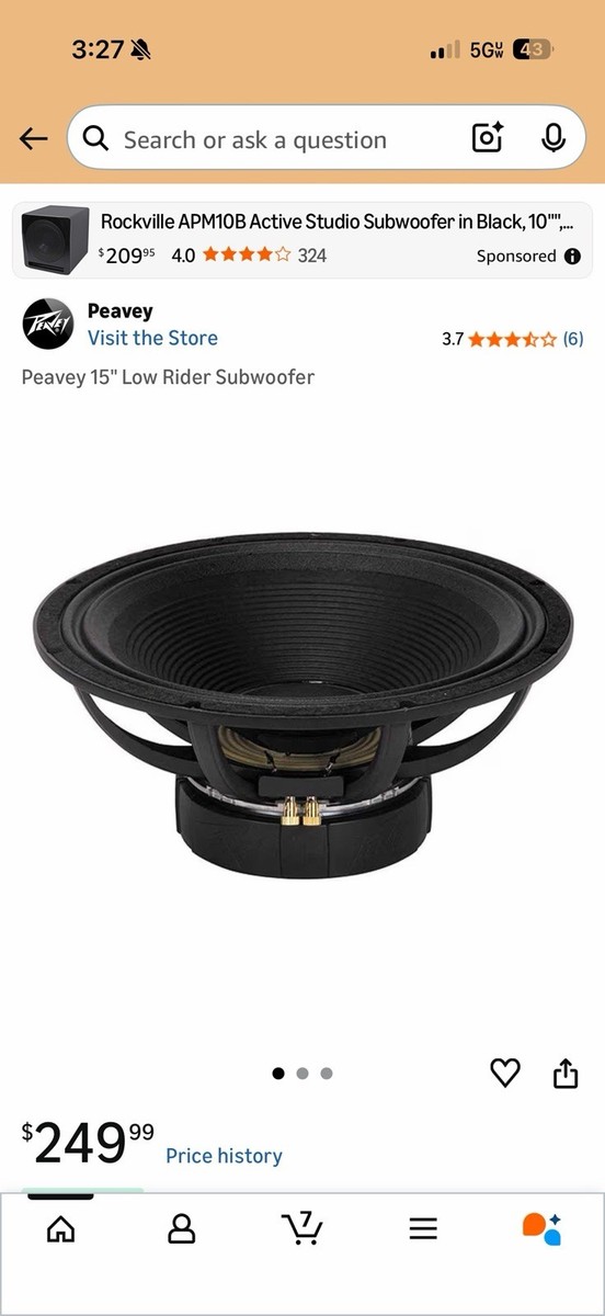 Peavey 15