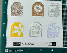 Stampin Up Wood Mount 6 pc Stamp Set TOO TERRIFIC TAGS
