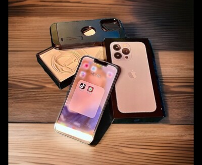 Apple iPhone 13 Pro 256 GB blau Wie Neu! tiktok installiert