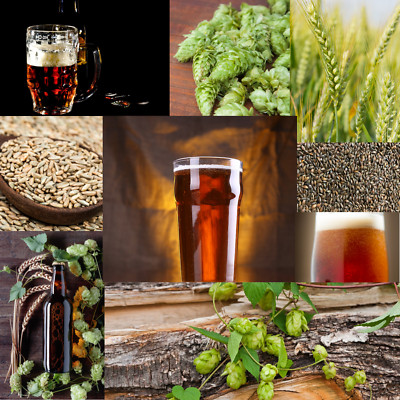 RYE-RISH RED ALE Extract Beer Brewing recipe Homebrew kit Malt hops & grains