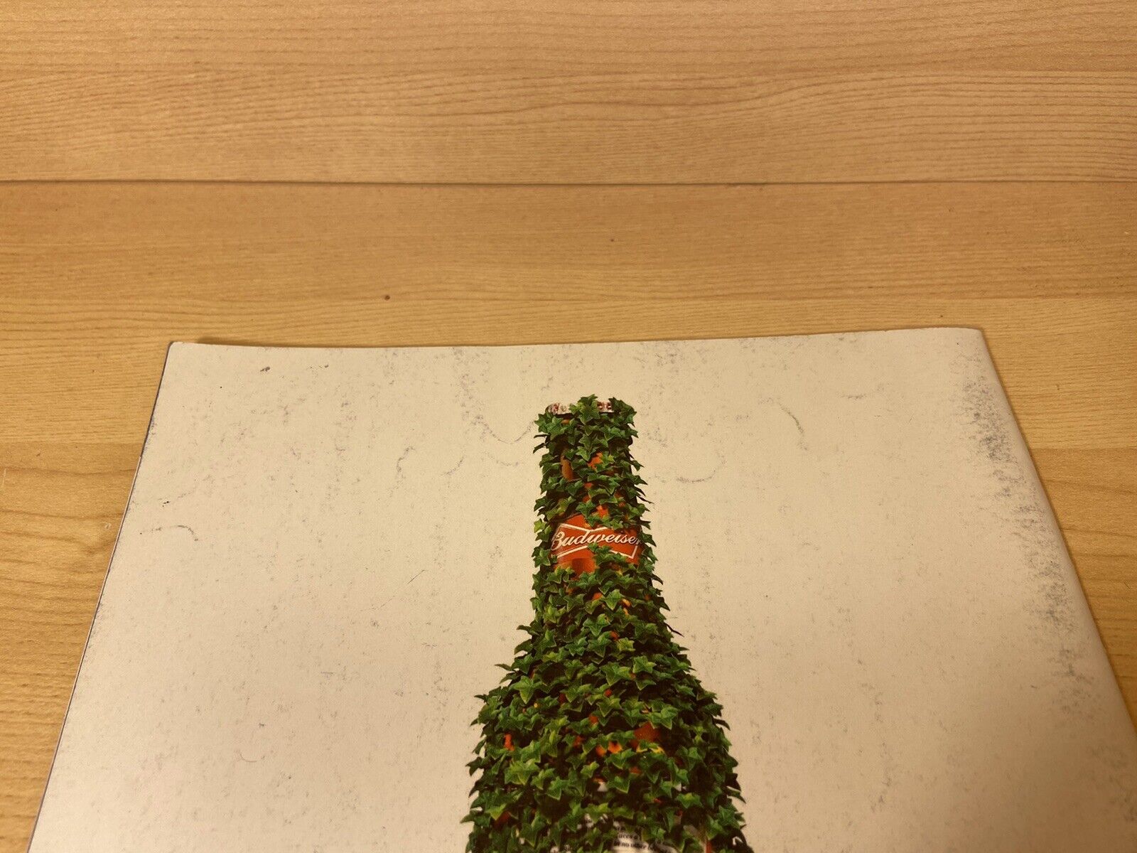 Picture 11 of 12