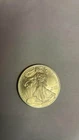 2009 American Silver Eagle Uncirculated | Philadelphia Mint | Estate  In Capsule