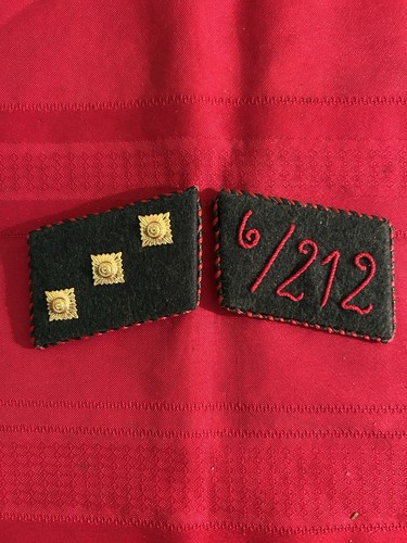WW2/WWII SA Collar Tab Set