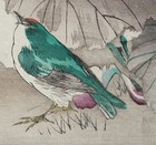 Tsukioka Kogyo Japanese Meiji Kacho-e Woodblock Print Bluebird and Waterlily — photo 3