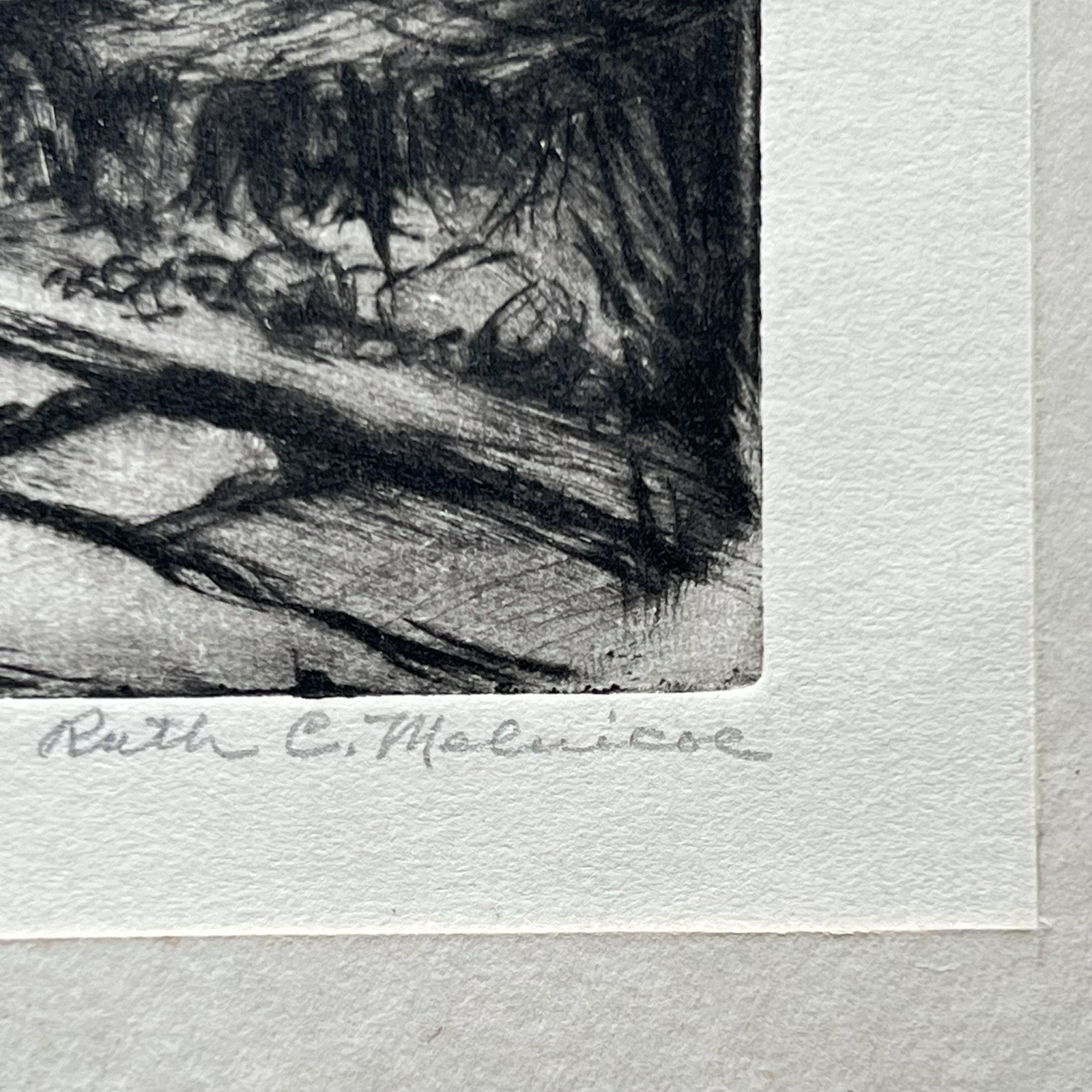 Picture 6 of 13