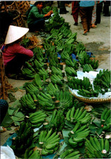 (2506) 16-4-2026 - Vietnam (2 postcard) market seller (Bananas& Vases)