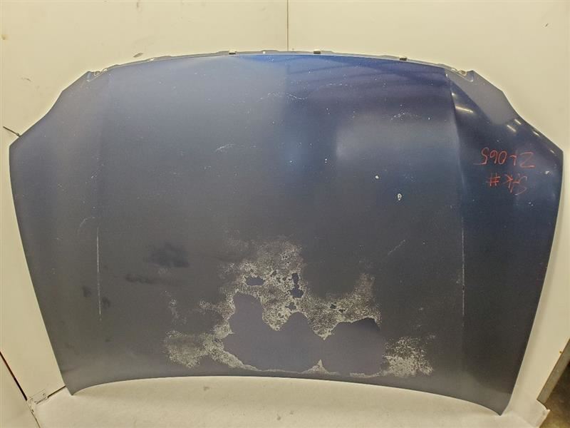 Toyota Avalon Limited, Hood Panel, 05-10, Blue, 8P4, 53301-AC040
