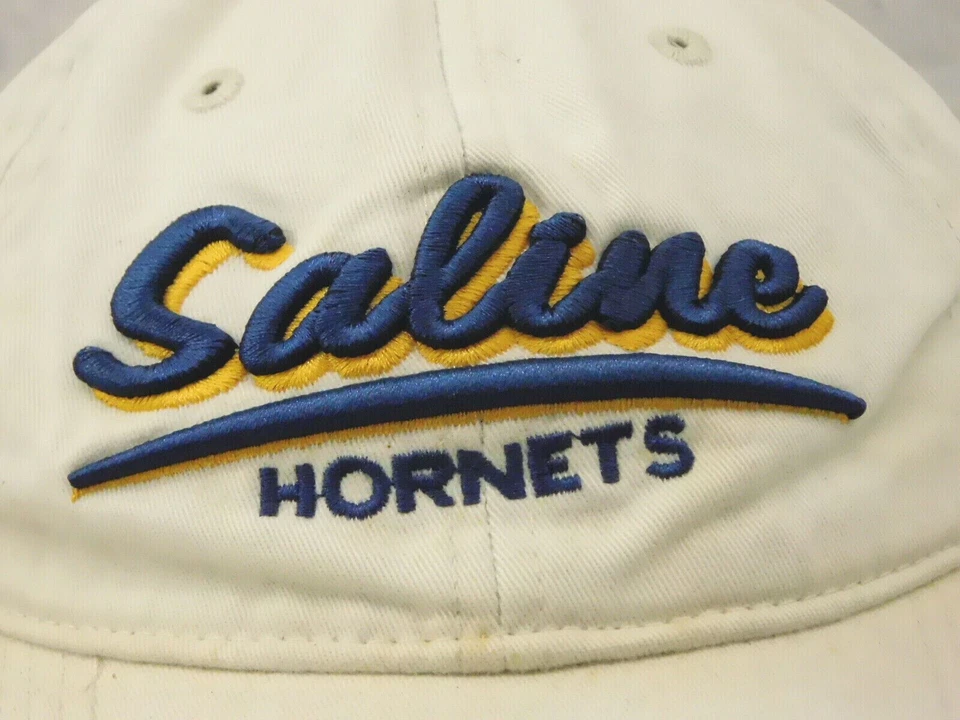 Винтажная регулируемая бежевая кепка SALINE HORNETS с застежкой сзади - Изображение 2 из 4