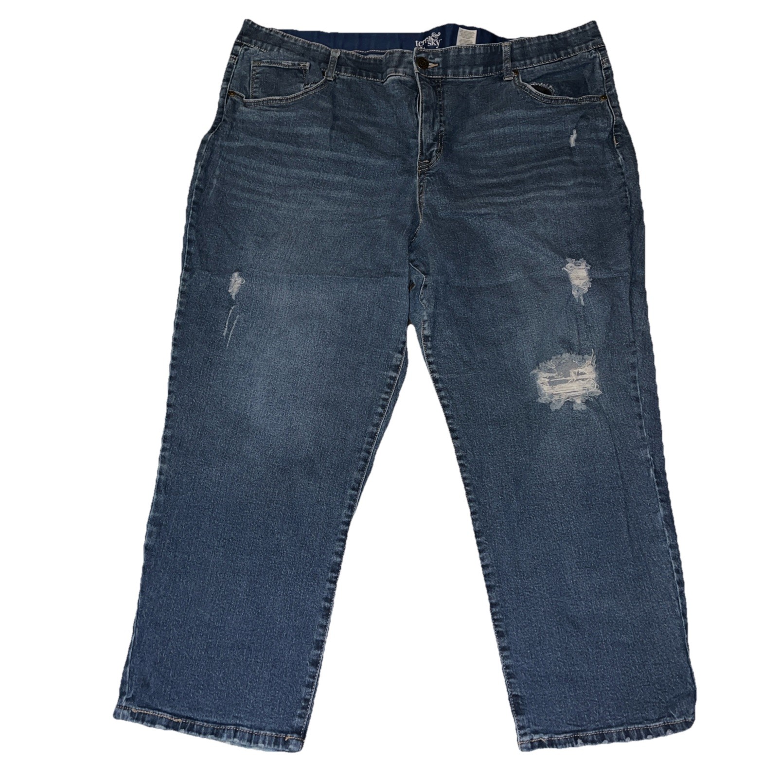 Terra & Sky Women's Boyfriend Jeans Size 24W Blue Denim