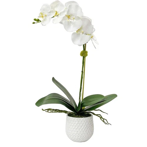 Uttermost Cami Coastal Polyester Ceramic and Bamboo Orchid in White - Picture 2 of 4