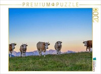 Calvendo Puzzle Simmentaler KüHe Im Abendrot 2000 Teile Puzzle Quer | 2000 Teile