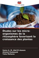 ÉTudes Sur Les Micro-Organismes De La RhizosphèRe Favorisant La Croissance Des P
