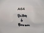 Bild 13 von 13