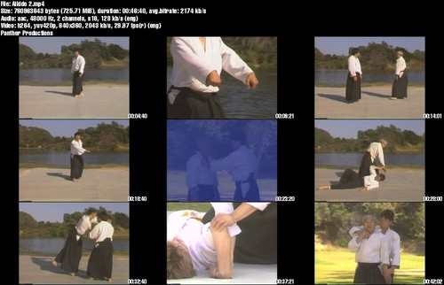 Home Study Course - Traditional Aikido (DVDs + Certificates) - Picture 3 of 7