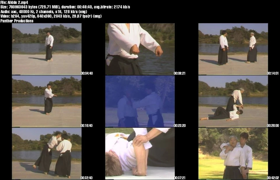 Home Study Course - Traditional Aikido (DVDs + Certificates) - Image 3 of 4