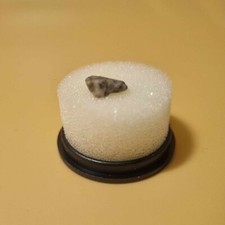 Polished & Raw Mineral & Gemstone Collection In Display Box (Choose Your Piece)