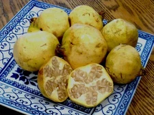 Punica granatum White Pomegranate | 20_Seeds
