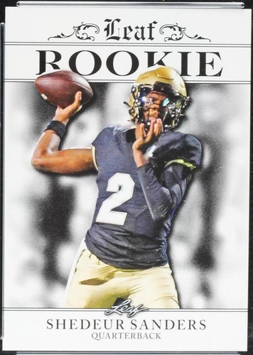 Seth Hernandez 2024 Leaf Rookie Achievement CCG 10 Rookie | eBay